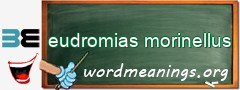 WordMeaning blackboard for eudromias morinellus